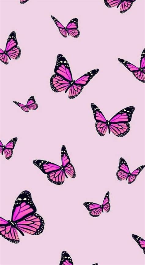 Pin By Luizaa On WALLPAPER Butterfly Wallpaper Iphone