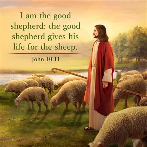John 1011 Verse Meaning I Am The Good Shepherd