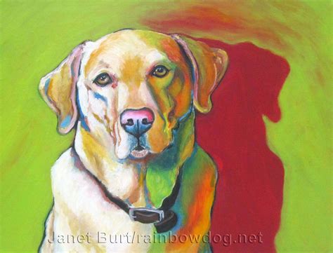 Rainbowdog Art By Janet Burt Yellow Lab In Color