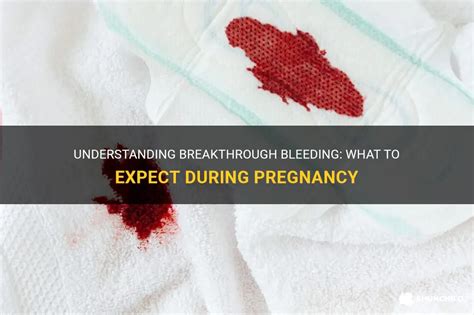 Understanding Breakthrough Bleeding What To Expect During Pregnancy