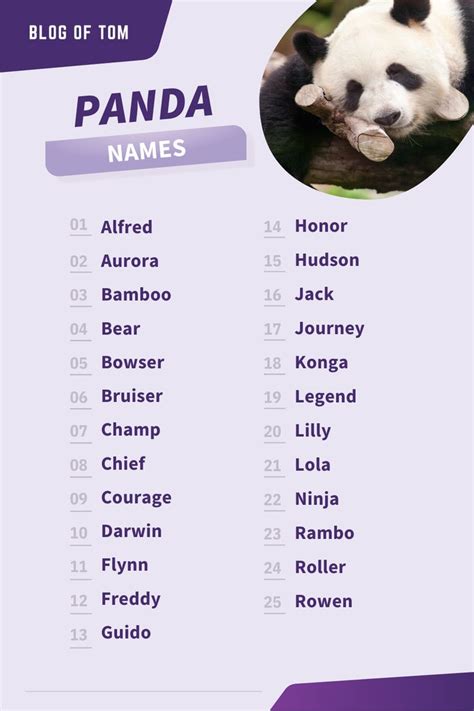 459 Panda Names Best Funny Cute And Famous Ideas Panda Names