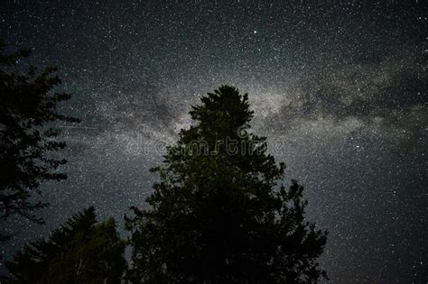Milky Way In The Night Sky Starry Sky And Dark Silhouettes Of Trees