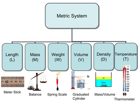 Metric System Measurements