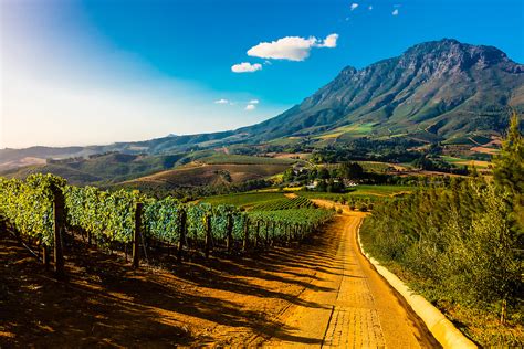 Vineyards Delaire Graff Wine Estate Atop Helshoogte Pass Near