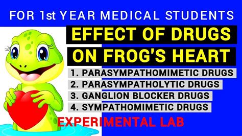 Effect Of Drugs On Frogs Heart Experimental Lab Physiology