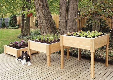 The rectangular caledonian raised bed is a great option for a compact kitchen garden, where you can grow fresh vegetables and herbs to use in your cooking. You need a salad table - No Ordinary Homestead