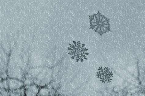 Free Photo Winter Ice Crystals Snowflakes Free Image On Pixabay