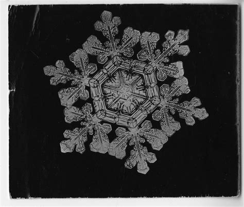 First Photographs Of Snowflakes Ever Taken Arttuesday Adafruit