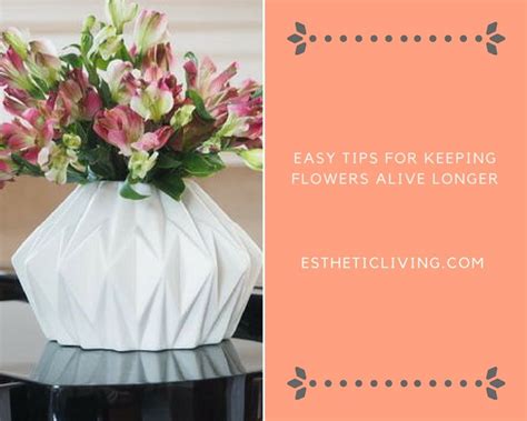 The flowers wilt quickly without water, thereby reducing the display time at home. Q+ A: How to Keep Your Flowers Alive Longer | Flowers ...