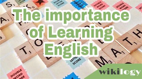 The Importance Of Learning English Paragraph For All Students Wikilogy