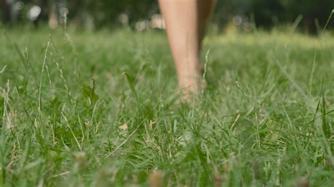 Barefoot Woman Walks On Green Grass Stock Footage Sbv 317418109