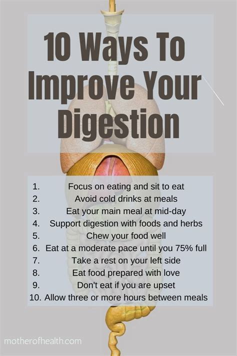 How To Improve Your Digestive System Mother Of Health Artofit