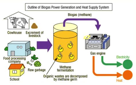 Biogas Generate And Produce Reliable Energy Sources