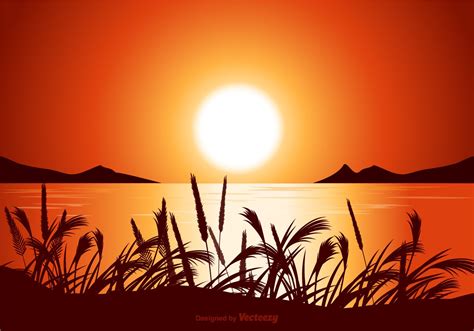 Vector Sunset Seascape Illustration - Download Free Vector Art, Stock ...