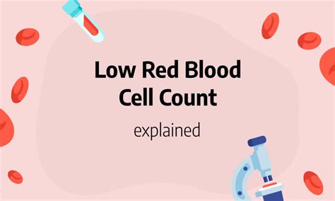 Low Red Blood Cell Count Causes Symptoms And Treatment