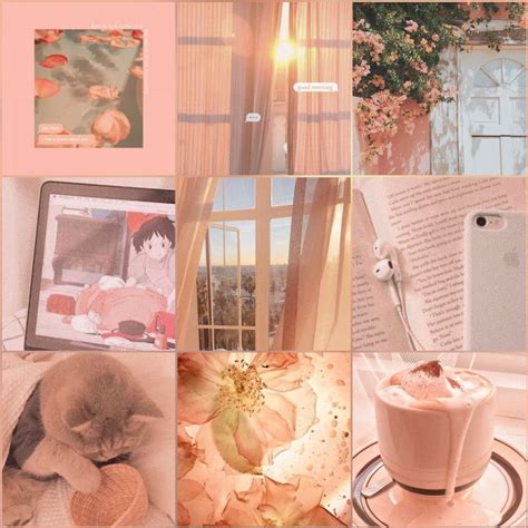 Vintage Pastel Peach Moodboard Adopt Idea Mood Board Inspiration