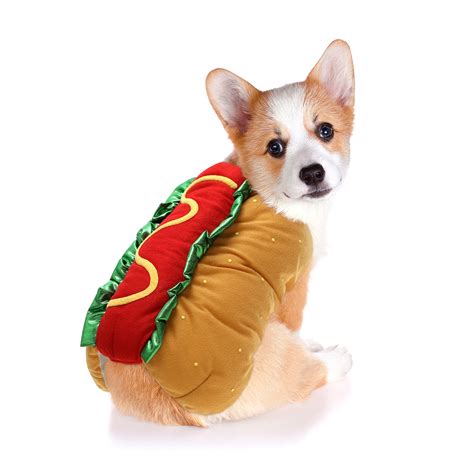 Hot Dog Dog Halloween Costume Ubicaciondepersonascdmxgobmx