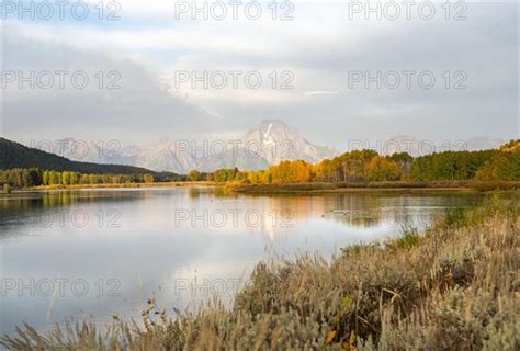 Mount Moran Reflected In Snake River Photo12 Imagebroker Mara Brandl