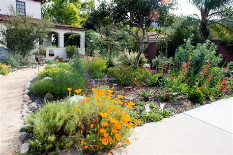 Beyond Succulents 10 Favorite Native Plants From A California Garden