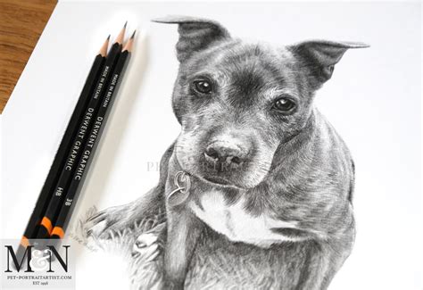 Dog Pencil Drawing Melanie And Nicholas Pet Portraits