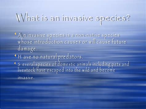 Ppt Invasive Species Project Powerpoint Presentation Free Download