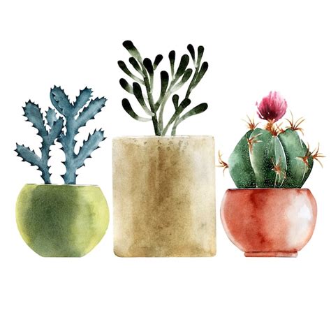 Premium Photo Watercolor Illustration With Different Types Of Cacti