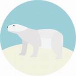 Bear Polar Icon Camping Polarbear Ico Kodiak