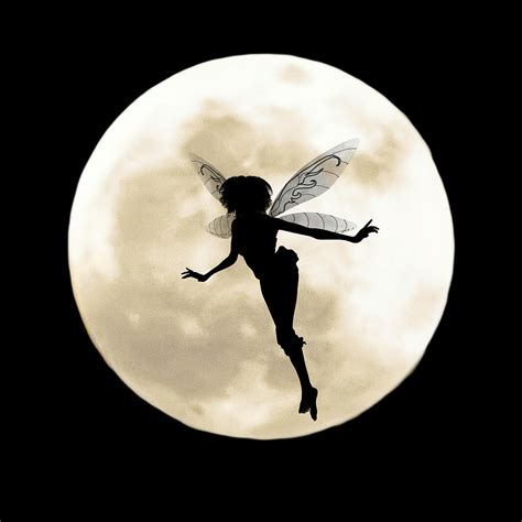 Flying Fairy Fantasy Digital Art By John Haldane Pixels