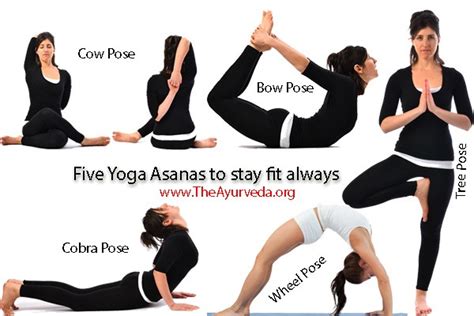 Five Yoga Asanas To Stay Fit And Healthy Always