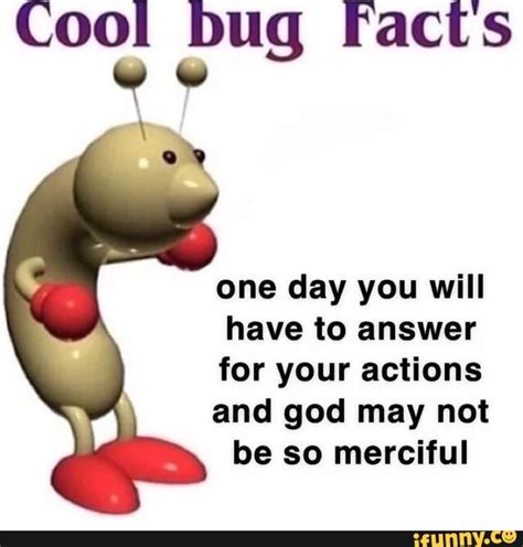 Cool Bug Facts One Day You Will Have To Answer For Your Actions And God