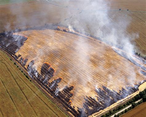Burning Stubble In Field Stock Image E7700528 Science Photo Library