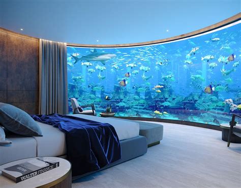 It's only december that houses are already starting to get ready for christmas. Aquarium hotel in 2020 | Luxurious bedrooms, Luxury ...