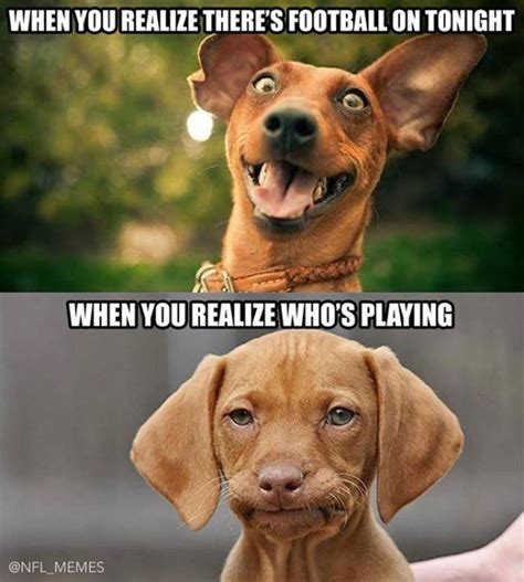 Viral videos, image macros, catchphrases, web celebs and more. Disappointed dog meme - Sportige