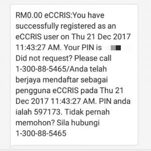 Setelah itu, pergi ke laman web eccris. Semak CCRIS Online Melalui Sistem eCCRIS Bank Negara Malaysia