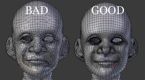 Topology Face Topology 3d Model