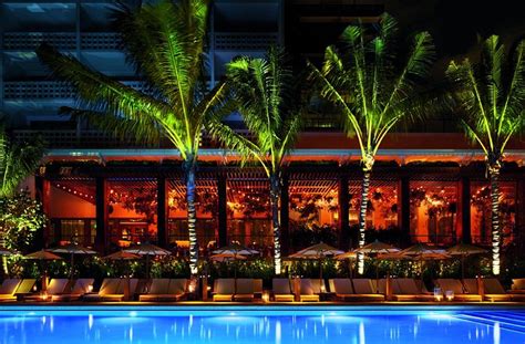the miami beach edition pool pictures and reviews tripadvisor