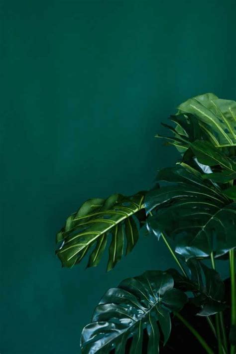 Pin By Daniela Gulda 🦋 On Pantone Colors 2021~2022 Dark Green