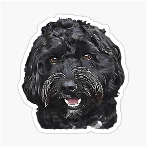 Bernedoodle Sticker For Sale By Jonathanlyons Redbubble