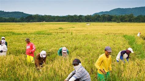 neda pushes 3 agricultural policy reforms for asean integration