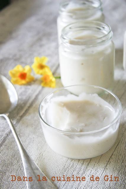 Venez visiter le blog de joséphine papotte et trouver ainsi de délicieuses recettes aussi bien salées. Yaourts au lait de coco | Yaourt lait de coco, Recette ...