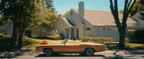 Check spelling or type a new query. Oh It Is Pretty Glorious GIFs - Find & Share on GIPHY