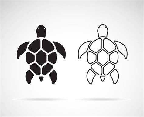 Turtle Shell Illustrations Royalty Free Vector Graphics And Clip Art