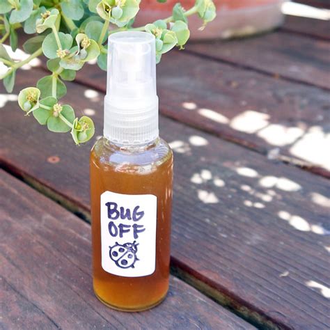 Homemade Natural Bug Repellent Recipes Going Evergreen