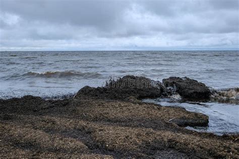 Dirty Beach By The Sea With Storm Clouds Above In Calm Evening Stock