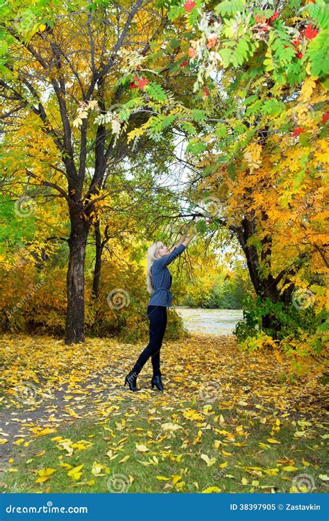 Young Beautiful Woman In Autumn Park Stock Image Image Of Orange