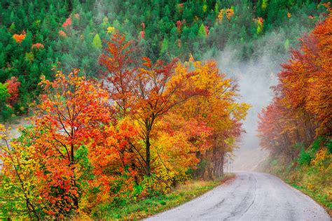 Misty Autumn Road Hd Wallpaper Background Image 2048x1367 Id