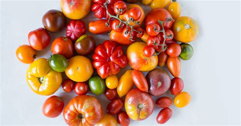 List Of Tomato Cultivars Backyard Food Growing Back Yard Growing