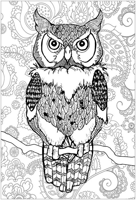 Owls have a predominantly nocturnal habit and are predators of invertebrates and vertebrates. Piercing eyes owl with background - Owls Adult Coloring Pages