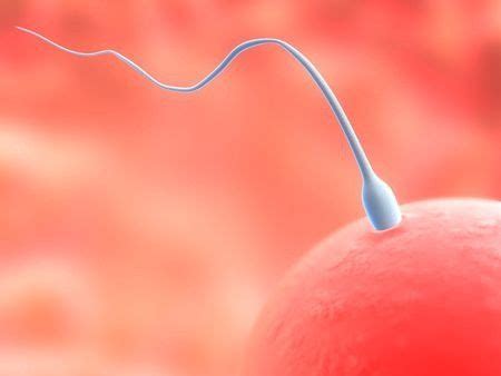 Kelainan Sperma Yang Harus Pria Waspadai Apa Saja Klikdokter