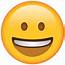 Download Smiling Face Emoji Icon  Island